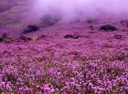 Kerala with Kanyakumari Tour Packages