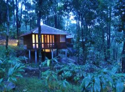 Best Honeymoon Destination in South India