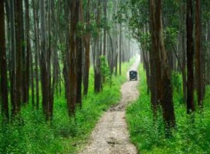 Wayanad Honeymoon Package from Bangalore