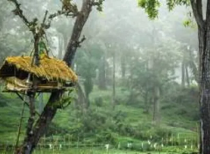 8Days & 7Nights Hidden Destination Of Coorg & Wayanad Tour Package