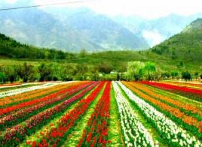 Gulmarg 4N/5D Package