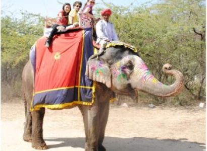 Elephant Safari In Corbett Jungle Tours