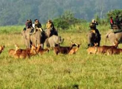 Blissful Meghalaya With Kaziranga Tour