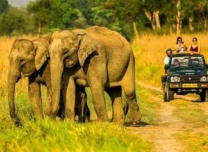 2 Nights/3 Days Jim Corbett Tour Package