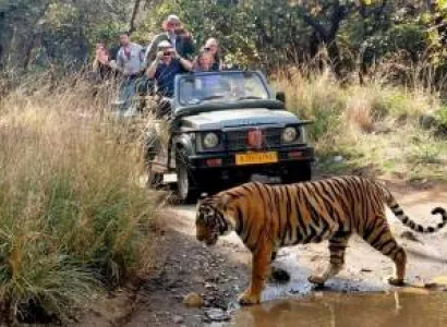 2 night 3 Days Sawai Madhopur To Ranthambore National Park