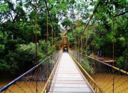 Mysore Coorg Ooty Tour Package