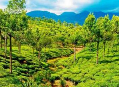 Kerala Houseboat Tour