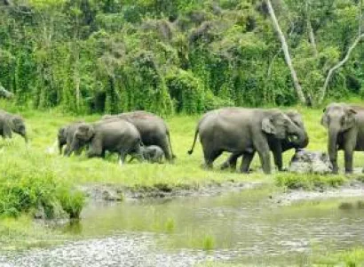 Dooars Puja Vacation Tour Package