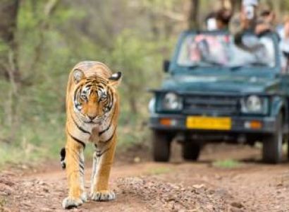 Golden Triangle Tour With Ranthambore