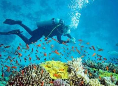 4 Night 5 Days Andaman Package