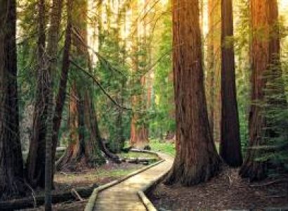 Thunderbirds at Yellowstone