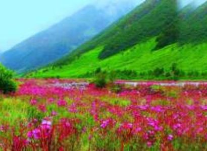 Valley Of Flowers Trek