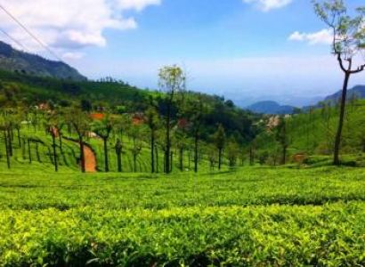 Coimbatore - Ooty - Kodaikanal - Munnar -  Alleppey - Kovalam - Cochin Tour