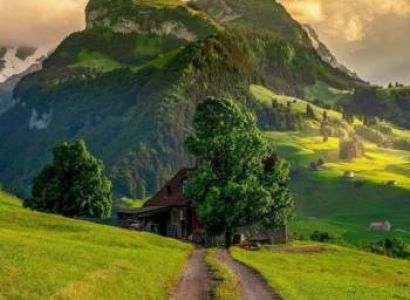 Elite Kashmir  07 Nights 08 Days 5 Star based on 02 Pax Minimum