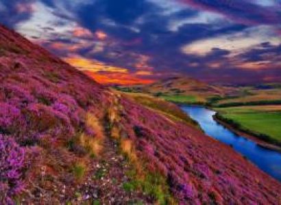 Valley of Flowers, Uttarakhand, 5 Days 4 Night