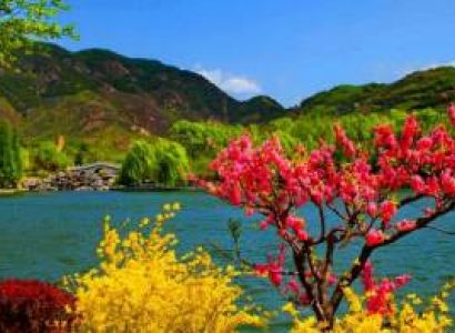 5N/6D Kashmir Trip Package