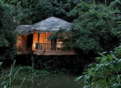 Wayanad Package 3 Nights And 4 Days