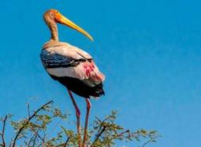 4Night 5Days Dehradun To Lakhamandal Tour