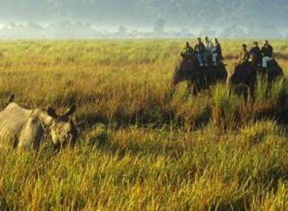 7 Night - 8 Days Assam Trip