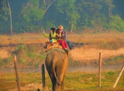 Chitwan Jungle safari Tour from Kathmandu and Pokhara