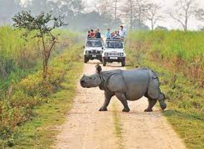Kaziranga National Park Tour 1 Night 2 Day