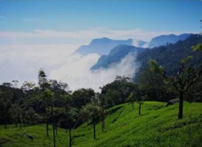 3 Night 4 days Bangalore to Mysore &Ooty Tour