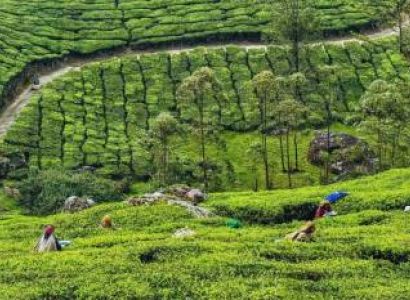 6N 7D Kerala Tour Package