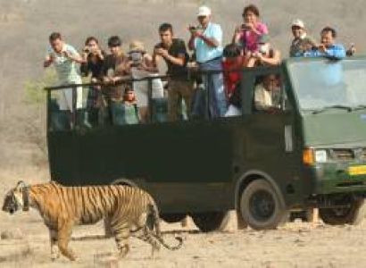 Corbett Fun Tour With Canter safari