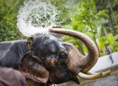 Birds and Mammals Tour in Sri Lanka