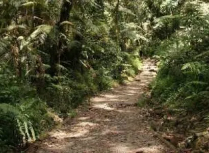 One Day Mount Kilimanjaro Marangu Hiking Tour