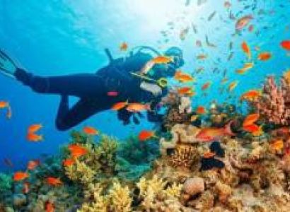 2 Nights 3 Days Andaman Tour Package
