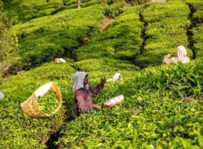 4 Nights 5 Days Heart of Kerala Tour