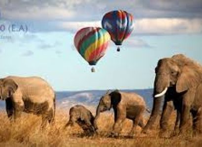 4-Day Luxury Lake Nakuru / Masai Mara Safari