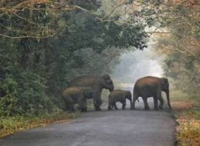 3 Night 4 Dey  Doors Tour