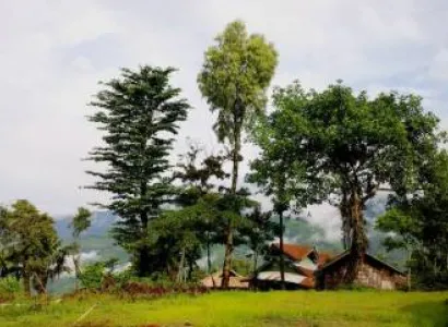 Assam Nagaland Tour 12Days
