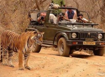 Raja Ji National Park - Half Day Safari