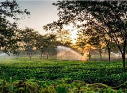 Assam - Arunachal Combine Tour Plan