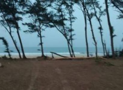 Holistic Retreat in Goa
