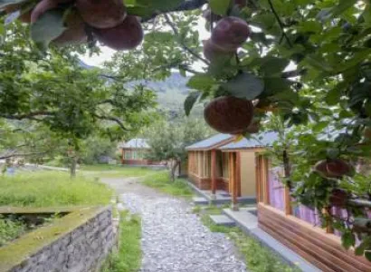 8 Night 9 Day Kasol - Malana New Year Special