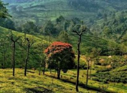 Mysore - Ooty - Coonur 3 Days