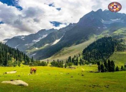 4 Nights & 5 Days. Srinagar, Gulmarg, Pahalgam and Sonmarg.