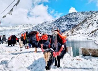 Sikkim Tours Package