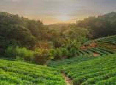 Zuluk Tour Package 4 Nights 5 Days