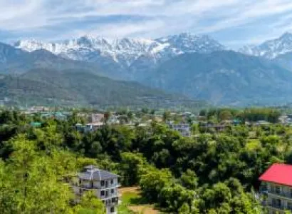 Exciting Dharamshala  Tour ( by Car )