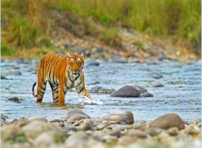 Nanital - Jim Corbett Holiday Package
