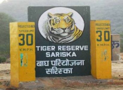 2 Night 3 Days Delhi to Sariska to Delhi