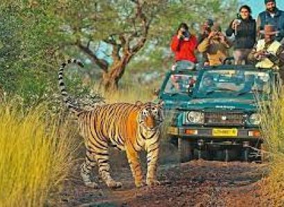 Corbett - Elephant Safari Tour
