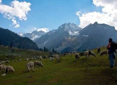 Ultimate Kashmir Tour Package  05 Nights - 06 Days