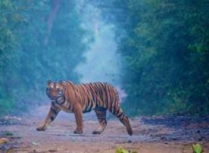 Mussoorie - Jim Corbett Tour Package