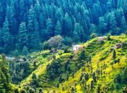 Nainital - Almora - Ranikhet - Haridwar - Rishikesh - Mussoorie Tour Package